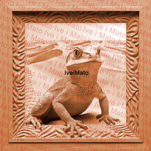 Laser Vecor Files - Lizzard